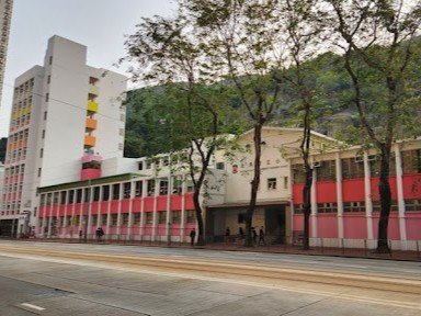 北角官立小學